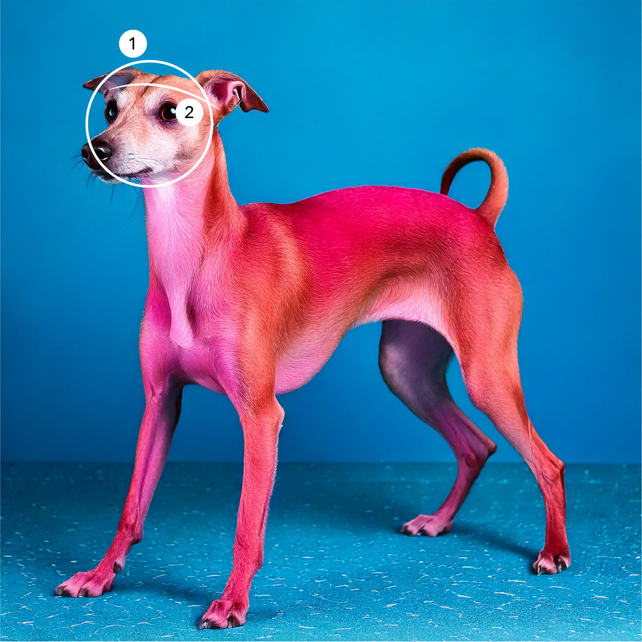 Glow Doggie Glow Trapper Hat - Cotton Candy Cuddle