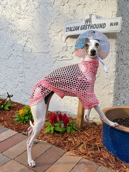 Poolside Pup Pullover
