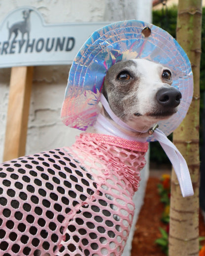 Beach Babe Bucket Hat dog detail shot by Dancing Dog Couture