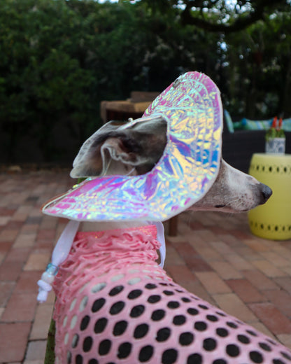 Beach Babe Bucket Hat dog side view Miami Collection by Dancing Dog Couture