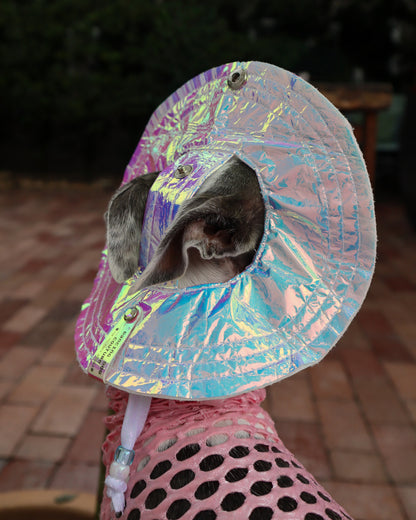 Beach Babe Bucket Hat dog back view by Dancing Dog Couture