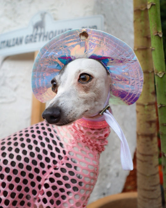 Beach Babe Bucket Hat for dogs by Dancing Dog Couture Miami Collection