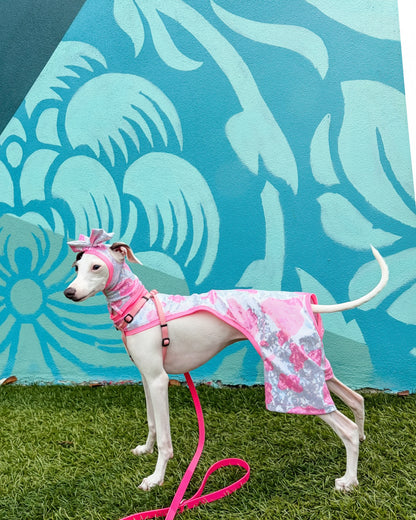 Beach Bum Shorts dog back view Miami Collection by Dancing Dog Couture