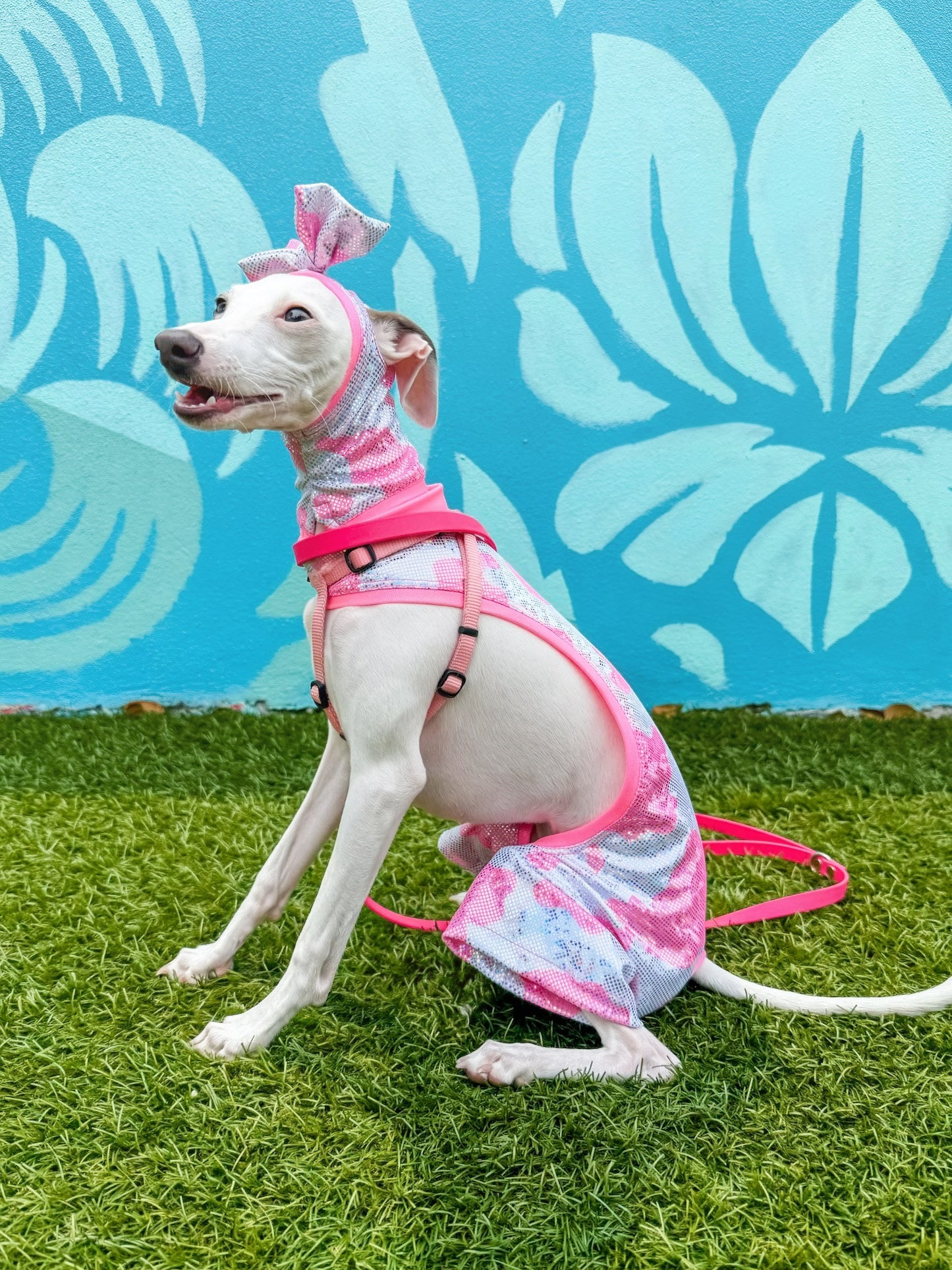 Good Mood Snood dog fashion shot by Dancing Dog Couture