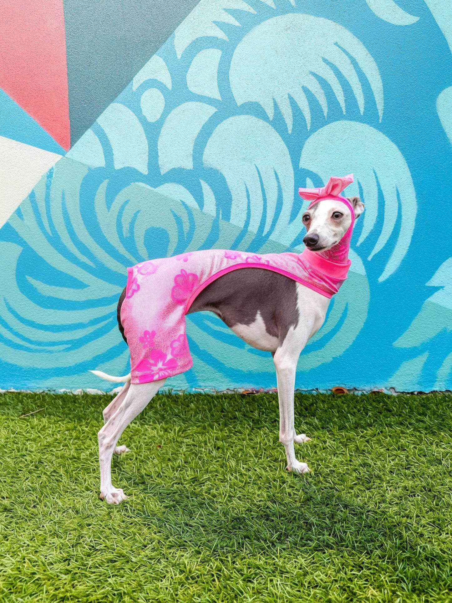 Beach Bum Shorts dog worn view by Dancing Dog Couture