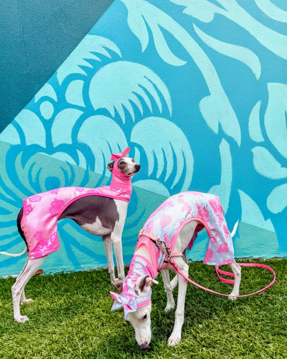 Beach Bum Shorts dog group shot by Dancing Dog Couture