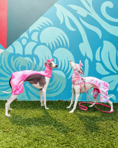 Beach Bum Shorts dog side view Miami Collection by Dancing Dog Couture