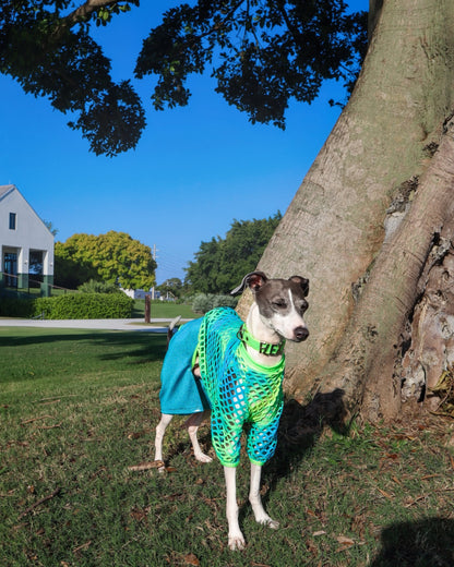 Weekend Warrior Sweatshirt dog back view Miami Collection by Dancing Dog Couture