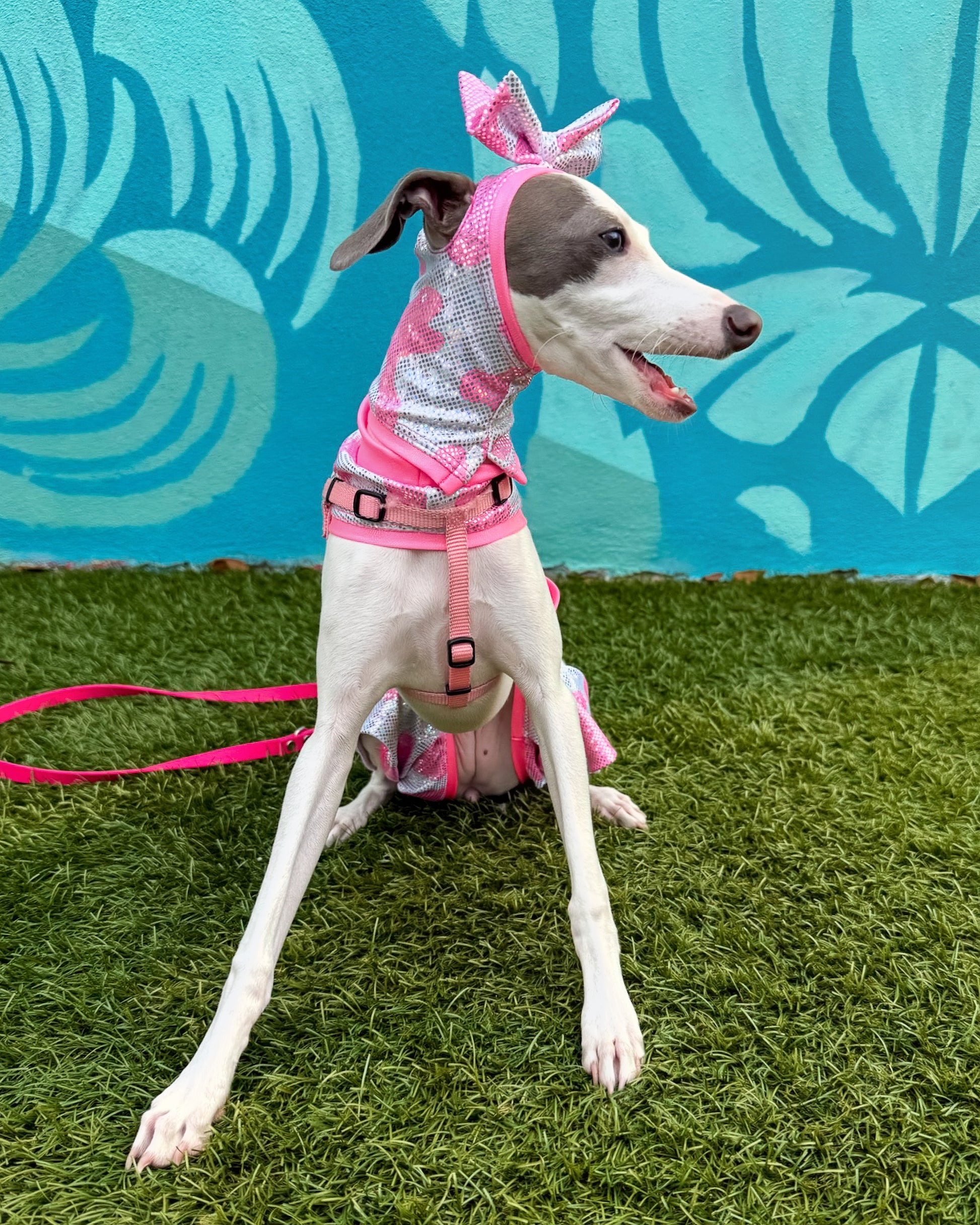 Good Mood Snood dog side view Miami Collection by Dancing Dog Couture