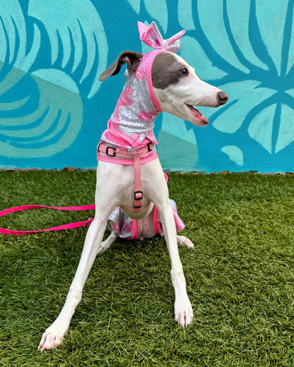 Good Mood Snood dog side view Miami Collection by Dancing Dog Couture