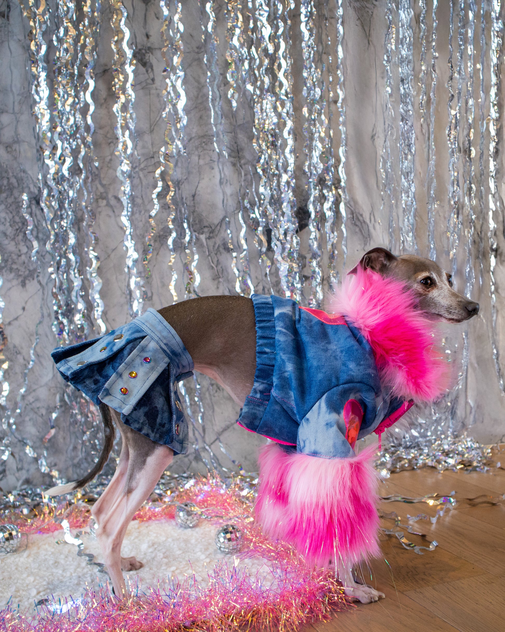 Cuddle Me Bomber – Dancing Dog Couture Cuddle Me Bomber – Dancing Dog Couture