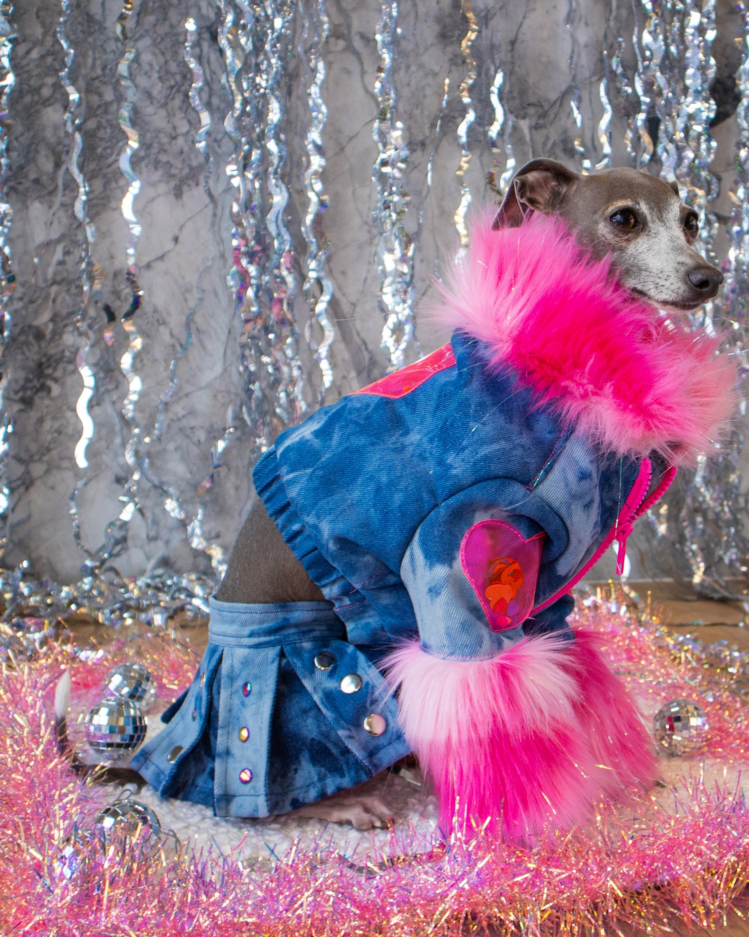 Cuddle Me Bomber dog jacket worn flat lay by Dancing Dog Couture