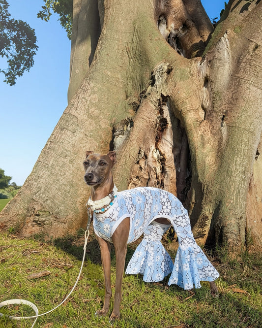 Party Animal Jumpsuit for dogs by Dancing Dog Couture Miami Collection