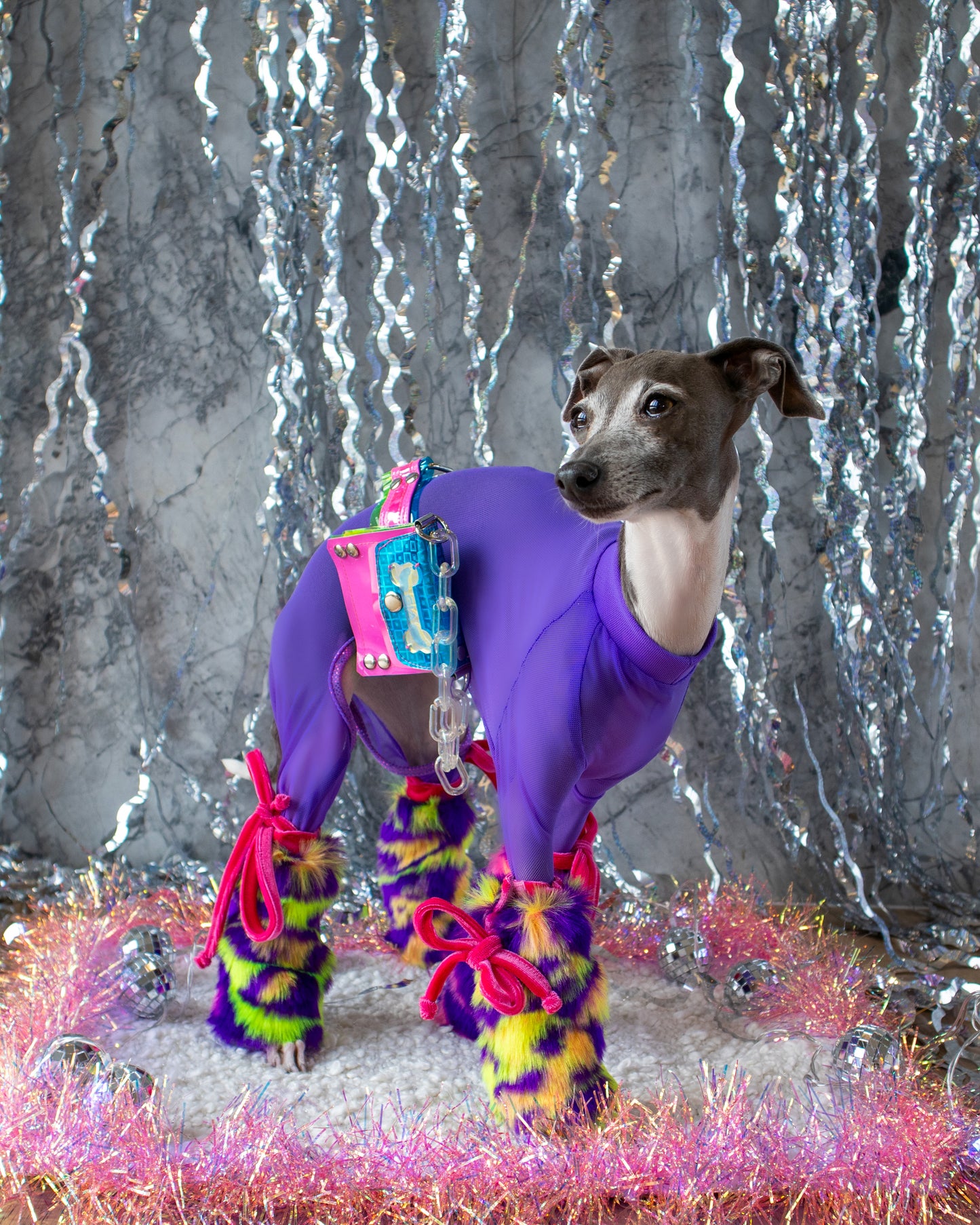 Glow Doggie Glow 3 Piece Outfit Bundle  XXS-S