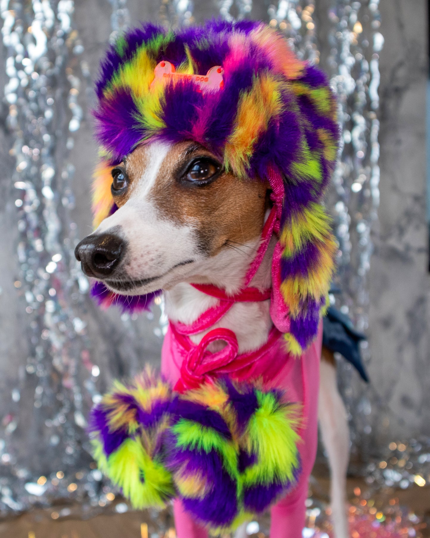 Glow Doggie Glow 3 Piece Outfit Bundle  XXS-S