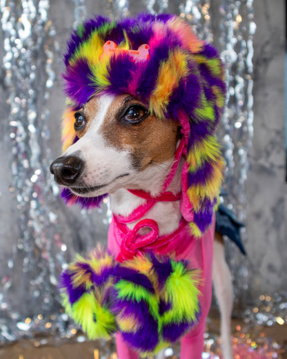 Glow Doggie Glow 3 Piece Outfit Bundle  XXS-S