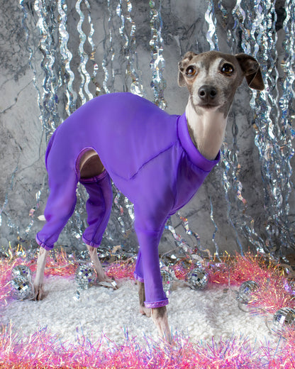 Glow Doggie Glow 3 Piece Outfit Bundle  XXS-S