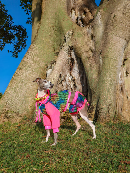 Rave Bae Set for dogs by Dancing Dog Couture Miami Collection
