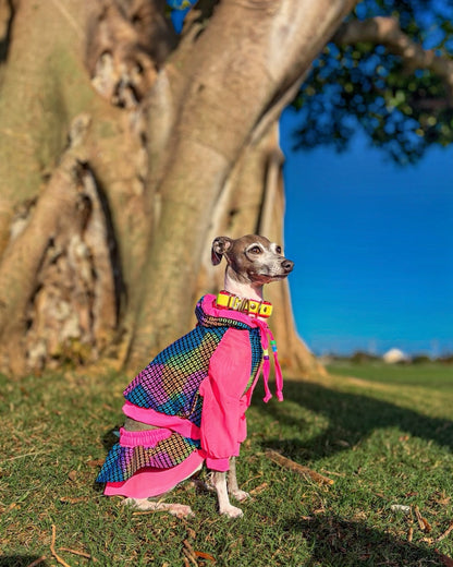 Rave Bae Hoodie for dogs by Dancing Dog Couture Miami Collection