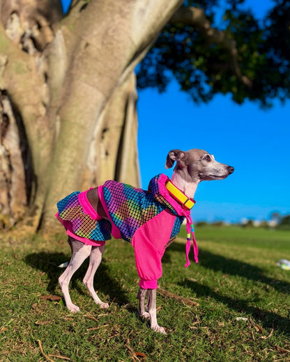 Rave Bae Set dog side view Miami Collection by Dancing Dog Couture