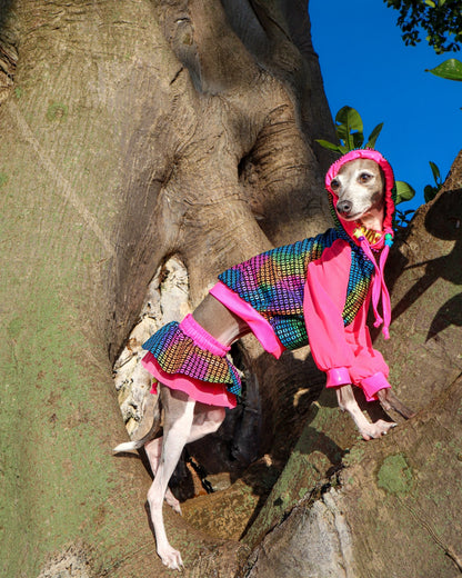 Rave Bae collection dog fashion shot by Dancing Dog Couture
