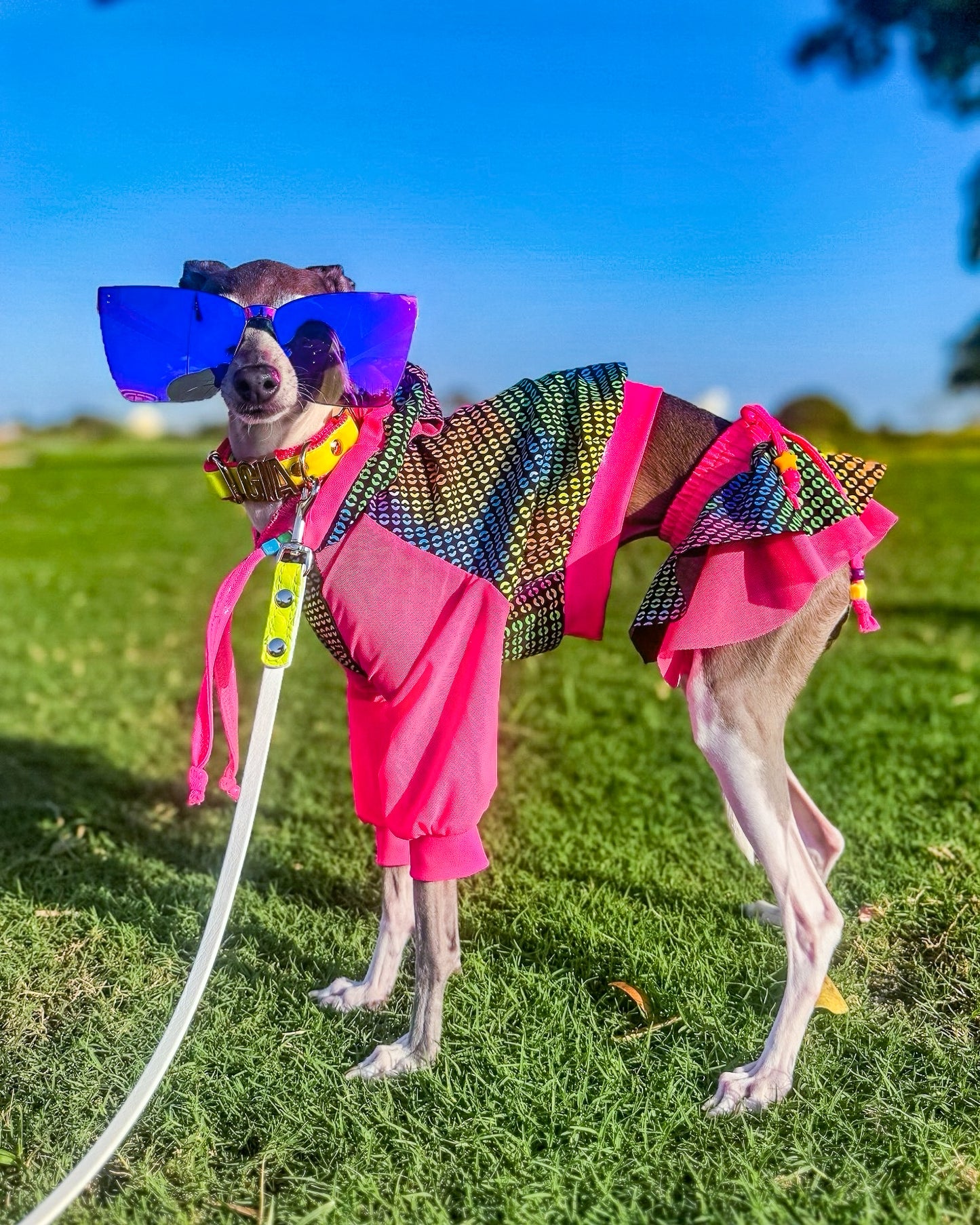 Rave Bae dog fashion worn view by Dancing Dog Couture