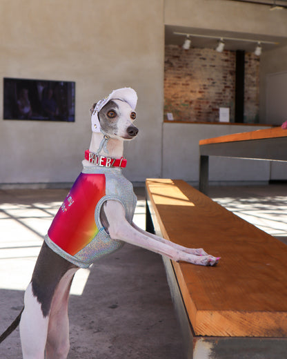 After Pawty Crop Top