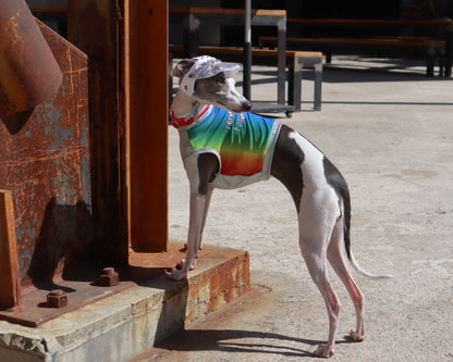 After Pawty Crop Top