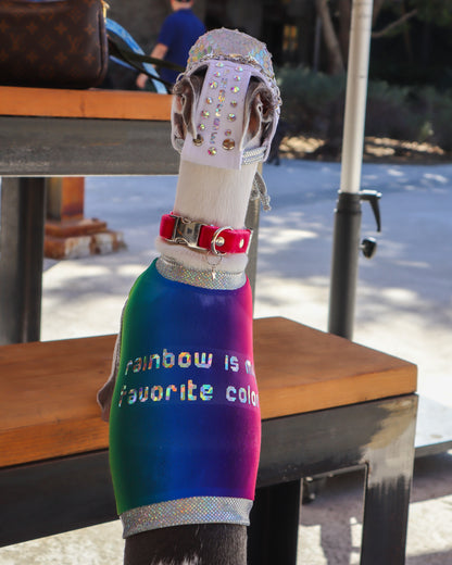 After Pawty Crop Top