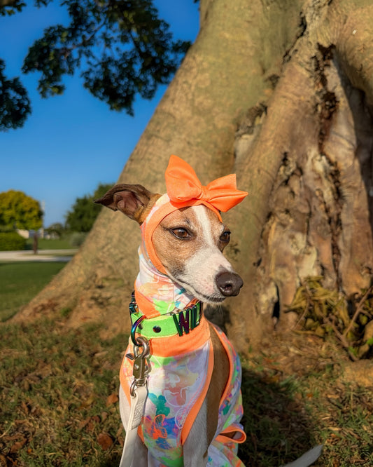 Good Mood Snood for dogs by Dancing Dog Couture Miami Collection
