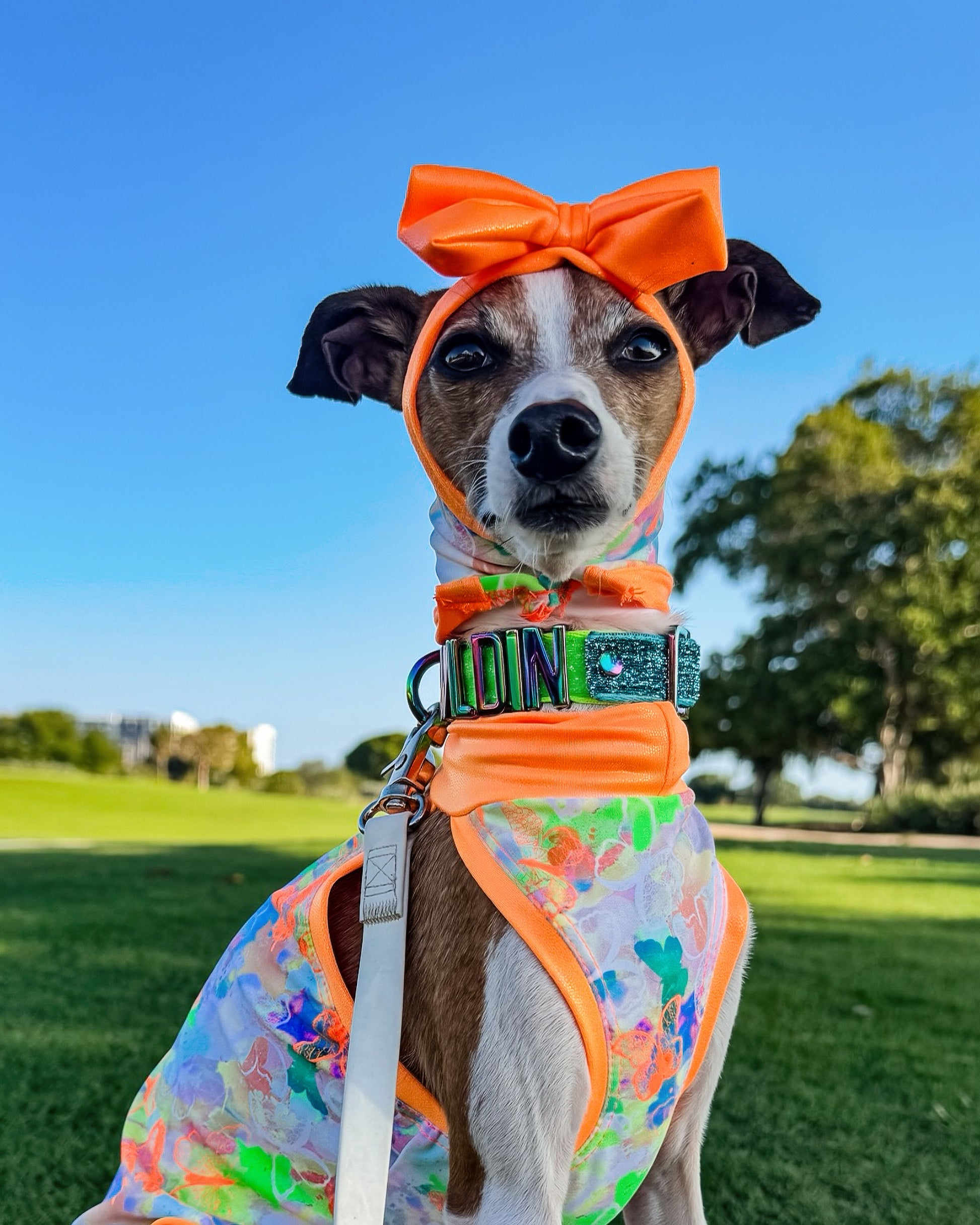 Good Mood Snood dog detail shot by Dancing Dog Couture
