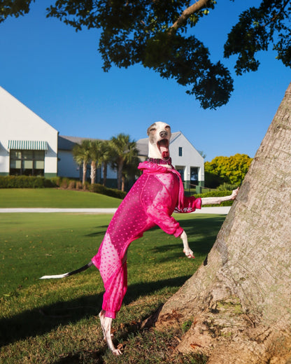 Trailblazer Jumpsuit